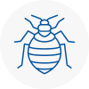 Bed Bug Extermination In Skipton